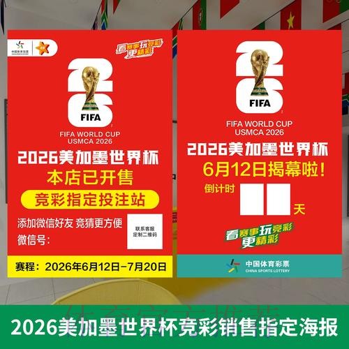 2026世界杯投注技巧与策略揭秘 2026世界杯投注技巧与策略揭秘